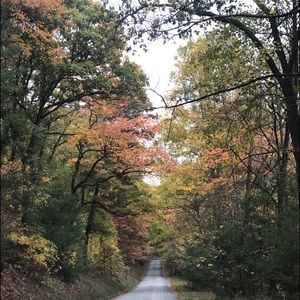 Meet your Posher, Miriana